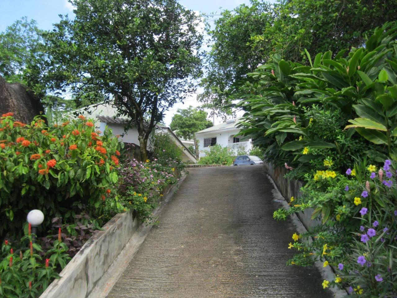 Chepsted Chalets Гласи