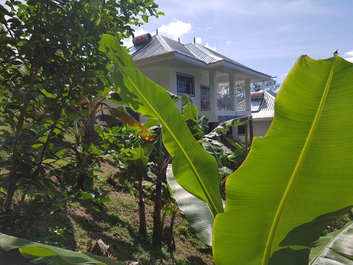 Chepsted Glacis (Mahe)